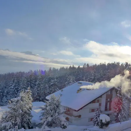 Grand Large A 18 By Interhome Apartment